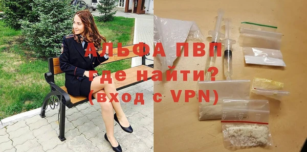 стафф Богородицк