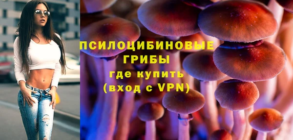 ALPHA PVP Бородино