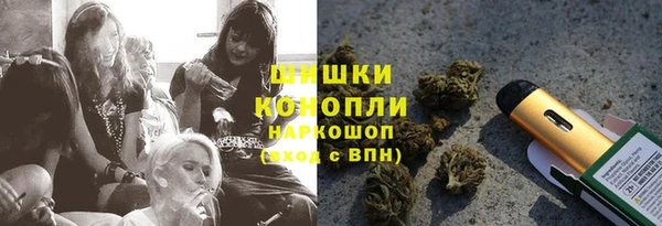 стафф Богородицк