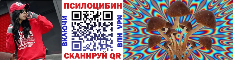 Галлюциногенные грибы Cubensis  Купить  Новая Ляля 